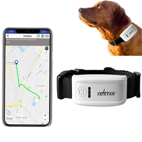 pet rfid tracker reddit|real gps dog trackers.